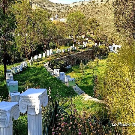 La Maison Vert Amande Ξενοδοχείο Spathi  Εξωτερικό φωτογραφία