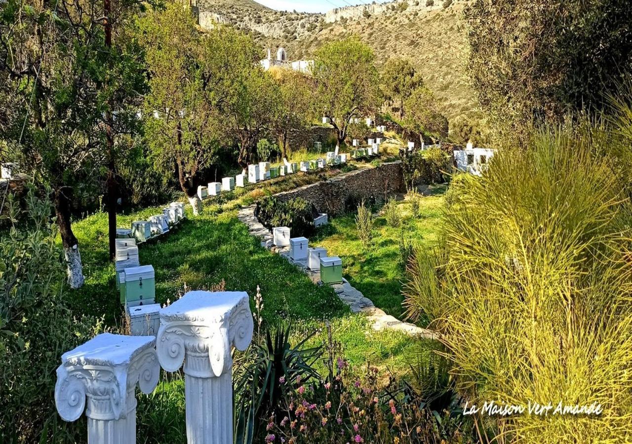 La Maison Vert Amande Spathi  Εξωτερικό φωτογραφία