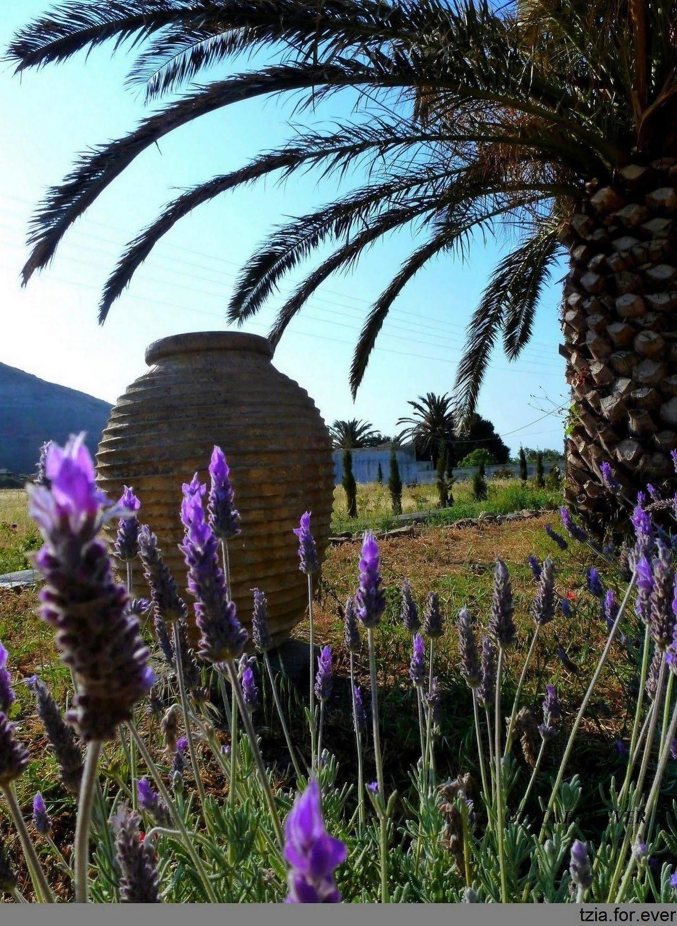 La Maison Vert Amande Spathi  Εξωτερικό φωτογραφία