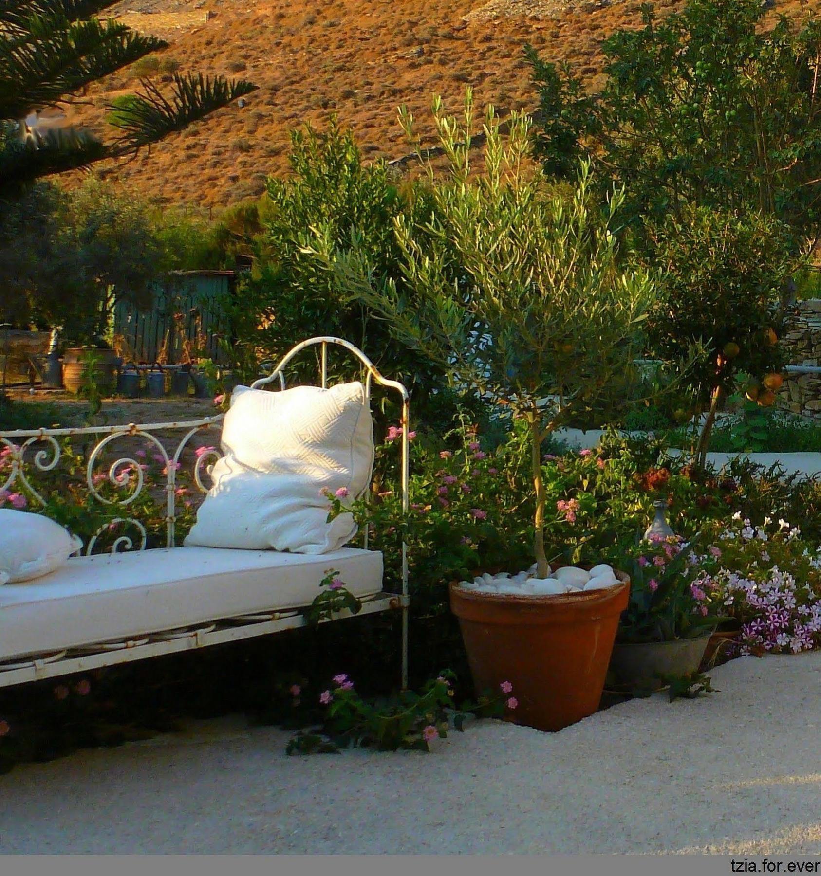 La Maison Vert Amande Spathi  Εξωτερικό φωτογραφία